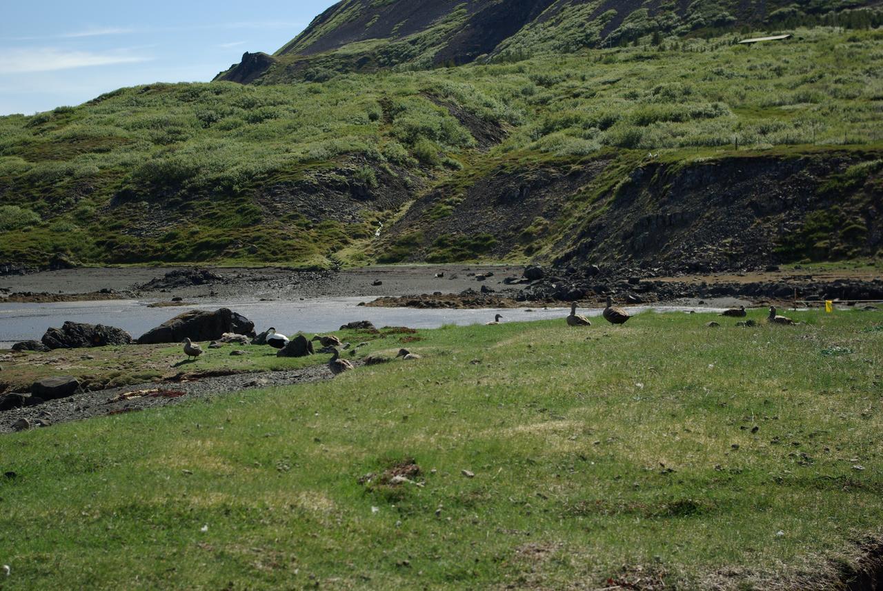 Reykholar Hostel エクステリア 写真